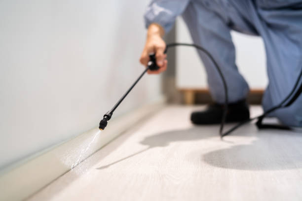 Licensed Cockroach Control service in Talladega, AL - Nex Pest Control