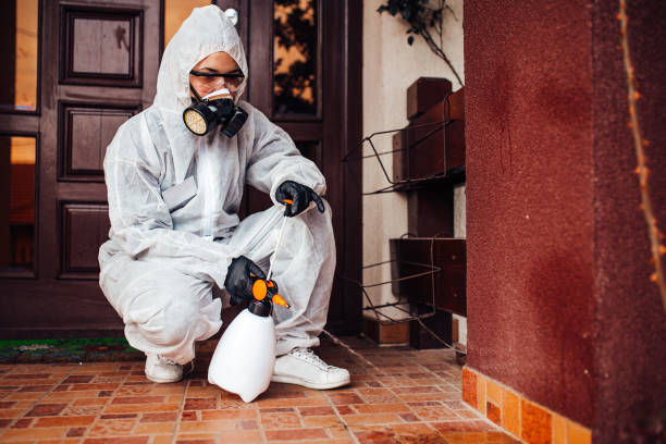 Reliable Cockroach Control contractor in Talladega, AL by Nex Pest Control